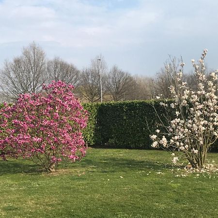 Il Salice Otel Novara Dış mekan fotoğraf